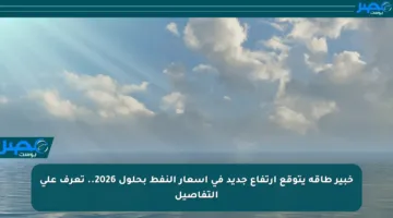 خبير طاقة يتوقع ارتفاع جديد في أسعار النفط بحلول 2026.. تعرف على التفاصيل